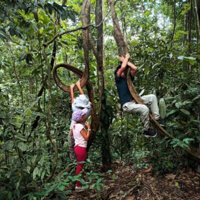 galeri ORANGUTAN LEUSER ECOTOURISM (1)