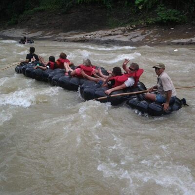 galeri ORANGUTAN LEUSER ECOTOURISM (24)