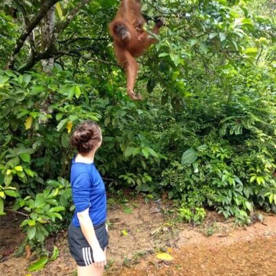 galeri ORANGUTAN LEUSER ECOTOURISM (7)