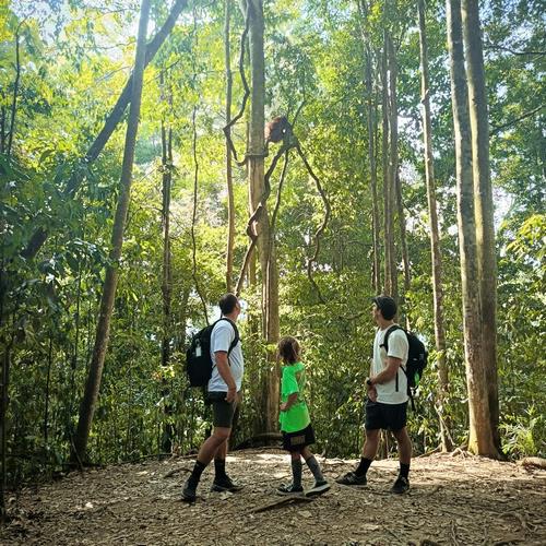 orangutanleuser-ecotourism-galeri (18)