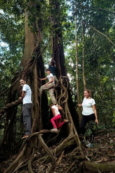 orangutanleuser-ecotourism-galeri (5)