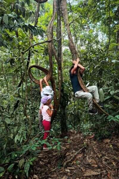 orangutanleuser-ecotourism-galeri (6)