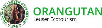 Orangutan Leuser Ecotourism